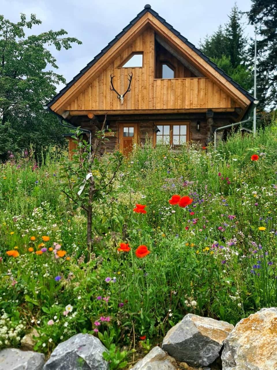 Blockhaus Panhuette Braunlage Exterior foto